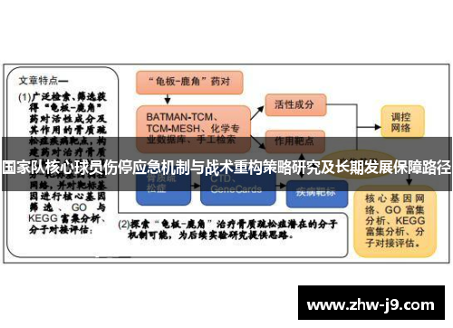 国家队核心球员伤停应急机制与战术重构策略研究及长期发展保障路径