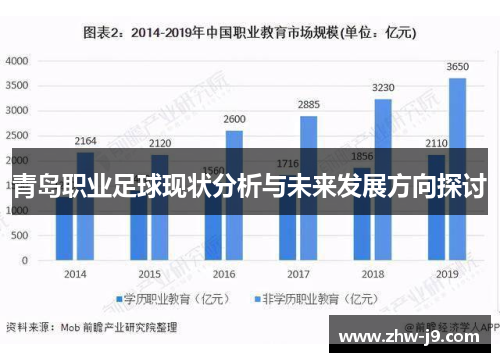 青岛职业足球现状分析与未来发展方向探讨