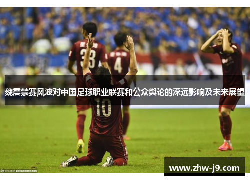 魏震禁赛风波对中国足球职业联赛和公众舆论的深远影响及未来展望